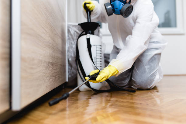 Best Pest Control for Businesses  in Perezville, TX