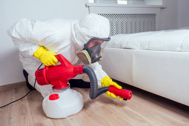 Best Affordable Pest Control Services  in Perezville, TX